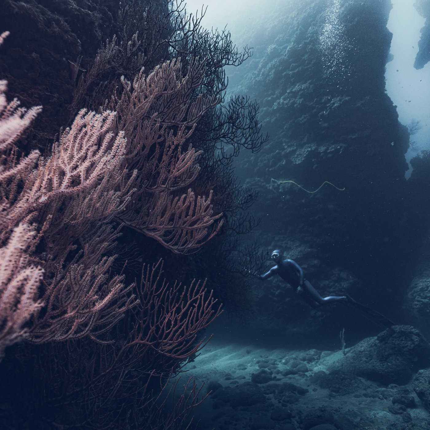 Wei Chih Wang - "Ecology" Winner - Ocean Power WPA